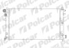 Радиатор охлаждения двигателя Polcar 570608A4 (фото 1)