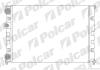 Радиатор охлаждения двигателя Polcar 953808-1 (фото 1)