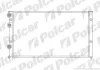 Радиатор охлаждения двигателя Polcar 954608-8 (фото 1)