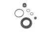 Ремкомплект супорта (заднього) VW Caddy III/T5 03-10 (d=41mm) (Lucas) (+поршень) Quick-brake 114-5016 (фото 2)