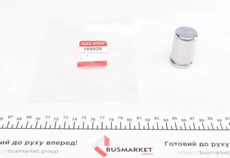 Поршень супорта (заднього) MB A-class (W169)/Vaneo (414) 02- (30x48mm) (замінено на 185028K) Quick-brake 185028