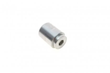 Поршень супорта (заднього) Audi 100/200/80/90/Fiat Croma/VW Golf II/Jetta II 82-96 (36x48mm) Quick-brake 185120K