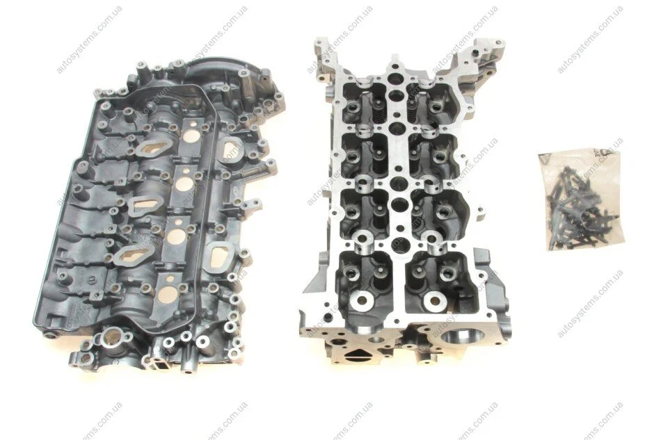Головка блоку циліндрів Renault Master 2.3dCi 10- RENAULT 110415059R (фото 1)