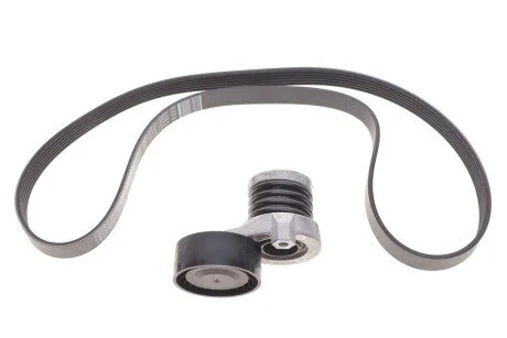 Комплект паса поликлинового RENAULT 117202495R
