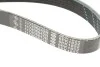 Комплект ременя генератора Dacia Duster/Renault Laguna II 1.4/1.6 16V 04- (6PK1822) RENAULT 117206746R (фото 4)