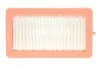 Фільтр повітряний Nissan Micra/Juke/Renault Clio/Captur 0.9T/1.0SCe/1.3TCe/1.5dCi 17- RENAULT 165465FN1A (фото 1)