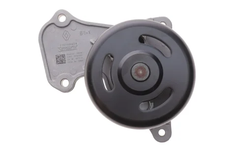 Водяной насос RENAULT 210102662R