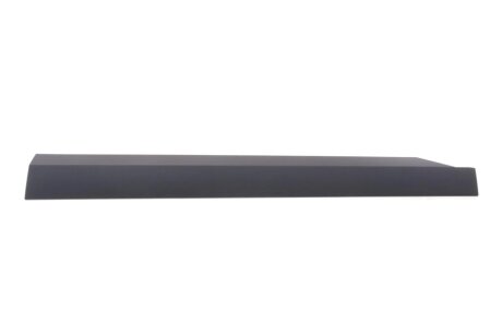 Молдинг дверей (передніх/R) Duster III 25- RENAULT 808200915R