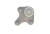 Опора кульова (передня/знизу/L) Audi A3/Skoda Octavia III/VW Caddy IV/Golf VII 12- (всередині OE VAG) Rotweiss 5Q0407365A (фото 2)