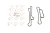 Прокладка радіатора масляного Ford Transit 2.2-2.4TDCi 06- (к-кт) Rotweiss RWS1805 (фото 1)