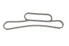 Прокладка радіатора масляного Ford Transit 2.2-2.4TDCi 06- (к-кт) Rotweiss RWS1805 (фото 3)