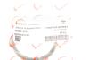 Прокладка колектора впускного Renault Kangoo/Laguna II/Trafic 1.4-2.0 01- Rotweiss RWS2845 (фото 2)