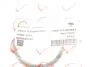 Прокладка колектора впускного Renault Kangoo/Laguna II/Trafic 1.4-2.0 01- Rotweiss RWS2845 (фото 2)