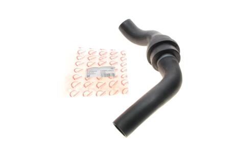 Патрубок інтеркулера (R) Ford Transit 3.2 TDCi 06-14 Rotweiss RWS2846