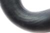 Патрубок інтеркулера (R) Ford Transit 2.2TDCi-3.2TDCi 06-14 Rotweiss RWS2868 (фото 2)