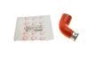 Патрубок інтеркулера VW Caddy III 1.9TDI/2.0TDI 04-15 Rotweiss RWS2869 (фото 1)