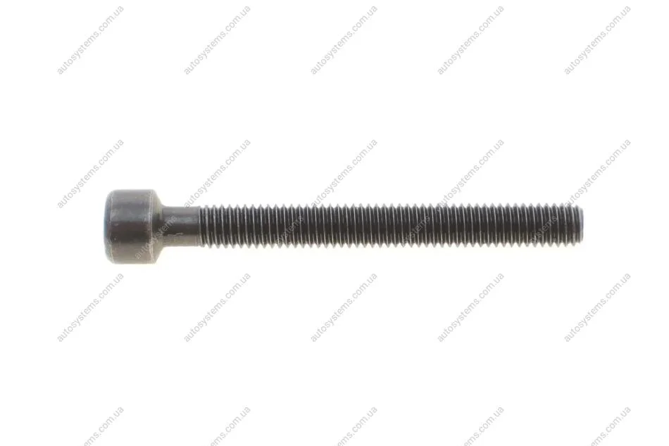 Болт кріплення форсунки VW T5 2.5TDI 96KW Rotweiss RWS3868 (фото 1)