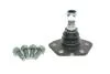Опора кульова (передня/знизу) Citroen Jumper/Fiat Ducato/Peugeot Boxer (1.8t) 94- RTS 93-00582-056 (фото 1)