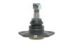 Опора кульова (передня/знизу) Citroen Jumper/Fiat Ducato/Peugeot Boxer (1.8t) 94- RTS 93-00582-056 (фото 3)
