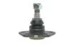 Опора кульова (передня/знизу) Citroen Jumper/Fiat Ducato/Peugeot Boxer (1.8t) 94- RTS 93-00582-056 (фото 3)