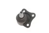 Опора кульова (передня/знизу/R) Audi A3/Seat Toledo/Leon/Skoda Octavia/VW Golf IV 96-10 RTS 93-00955-156 (фото 8)