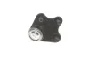 Опора кульова (передня/знизу/R) Audi A1 10-/Seat Ibiza 02-15/Skoda Fabia 99-14/Rapid 12-/VW Polo 01 RTS 93-09123-156 (фото 5)