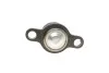 Опора кульова (передня/знизу) VW T5/Multivan V 03-15 RTS 93-90918-056 (фото 6)