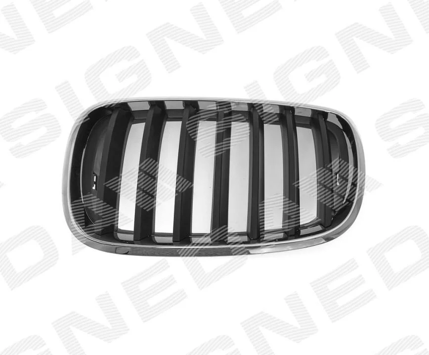 Решітка радіатора на BMW X5 (E70), 10.06 - 04.10 Signeda BM07053GAL (фото 1)