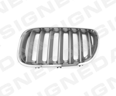 Фото решітка радіатора BMW X5 (E53), 04 - 06 Signeda PBM07031GBL Решітка радіатора BMW X5 (E53), 04 - 06 Signeda PBM07031GBL