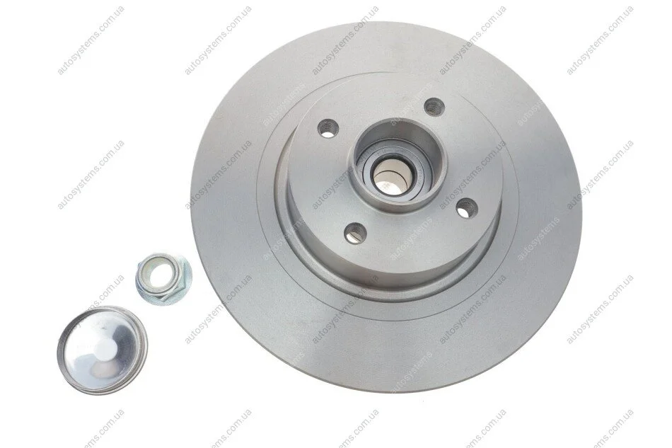Диск гальмівний (задній) Renault Scenic II/Megane II 03-10 (270х10) (+ABS) (з підшипником) SKF VKBD 1014 (фото 1)