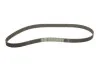 Комплект ГРМ VW T3/Passat/Golf II 1.5-1.7D/TD 77-92 (25x135z) SKF VKMA 01010 (фото 4)