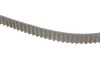 Комплект ГРМ VW Caddy/Sharan/Seat Ibiza 1.9TDI/SDI 95-06 (25x137) SKF VKMA 01019 (фото 4)