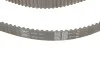 Комплект ГРМ VW Caddy/Sharan/Seat Ibiza 1.9TDI/SDI 95-06 (25x137) SKF VKMA 01019 (фото 5)
