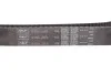 Комплект ГРМ Opel Omega B 2.5-3.2 V6/Vectra B 2.5i/2.6i V6 94-03 (30x225z) SKF VKMA 05501 (фото 11)