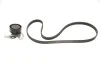 Комплект ременя генератора Renault Kangoo 1.5 dCi 01- (5PK1135) SKF VKMA 36036 (фото 1)