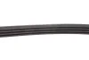 Комплект доріжкових пасків SKF VKMA 36067 (фото 4)