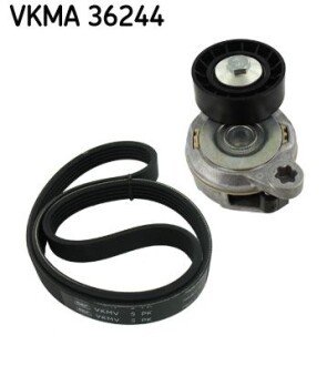 Комплект доріжкового ремня SKF VKMA36244