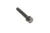Комплект ГРМ + помпа VW Crafter 2.5TDI, 65-120kw, 06-13, (141x26) SKF VKMC 01244 (фото 13)