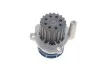 Комплект ГРМ + помпа Skoda Octavia/VW Passat 2.0 TDI 04-13 SKF VKMC 01259-1 (фото 2)