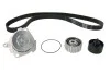 Комплект ГРМ, пас+ролик+помпа SKF VKMC 02181