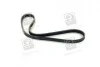 Доріжковий пас SKF VKMV 4PK855