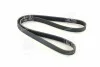 Доріжковий пас SKF VKMV 5PK1110