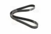 Поликлиновый ремень 6PK1100 SKF VKMV 6PK1100 (фото 4)