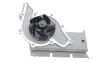 Помпа води Audi A4/A6/A8 3.0/3.0quattro 01-06 SKF VKPC 81304 (фото 4)