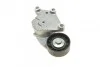 Натяжник ременя генератора Citroen/Peugeot/Ford 1.4HDi/1.6TDCi 01- SNR NTN GA359.19 (фото 8)