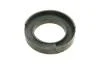 Подушка амортизатора (переднього) BMW X5 (E70)/X6 (E71) 3.0-4.8 07- M57/N54/N57/N63 SNR NTN KB650.09 (фото 7)
