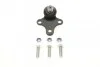 Опора кульова (передня/знизу) Citroen Berlingo/Peugeot Partner 96-08 (d=18mm) Solgy 203022 (фото 1)