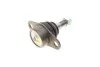 Опора кульова (передня/знизу) BMW 3 (E90/E91/E92) 05-13/X1 (E84) 09-15 Solgy 203130 (фото 4)