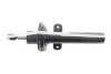 Амортизатор (передній) Ford Mondeo III 00-07 (Gas) Solgy 211332 (фото 5)
