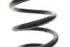 Пружина (задня) Toyota Rav 4 III 2.0 4WD/2.2 D 4WD 05-13 Solgy 212148 (фото 3)